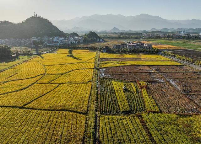 田园 道县 产业  冬色