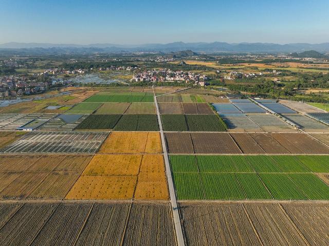 田园 道县 产业  冬色