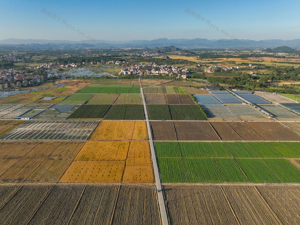 田园 道县 产业  冬色