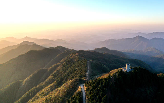 森林  公园  风景  自然  旅游  风光  创意