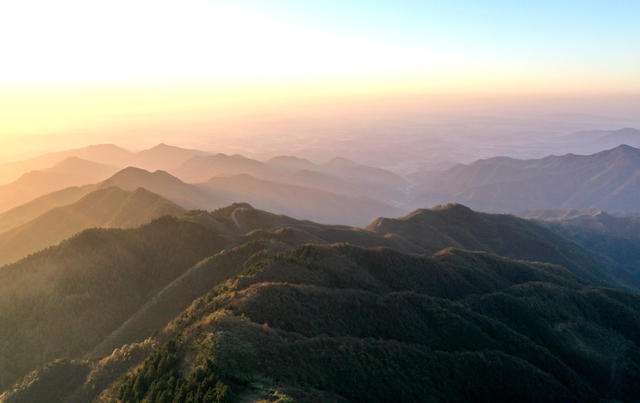 森林  公园  风景  自然  旅游  风光  创意