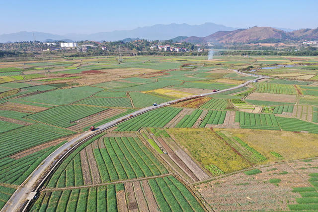 冬日 田野