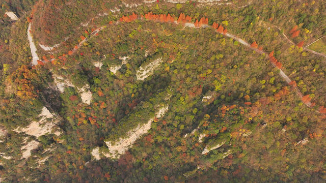张家界 天子山 冬色 