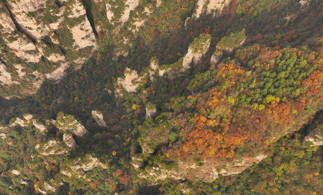 张家界 天子山 冬色 