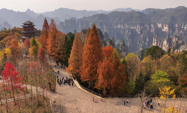 张家界 天子山 冬色 