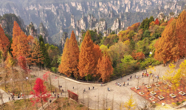 张家界 天子山 冬色 
