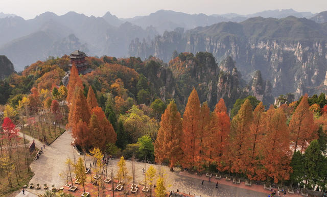 张家界 天子山 冬色 