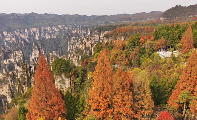 张家界 天子山 冬色 