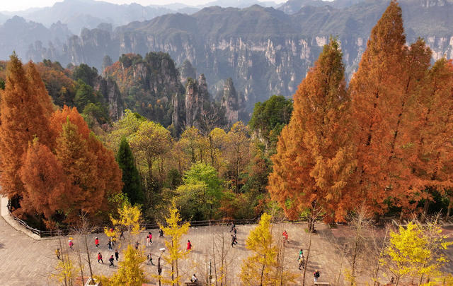 张家界 天子山 冬色 