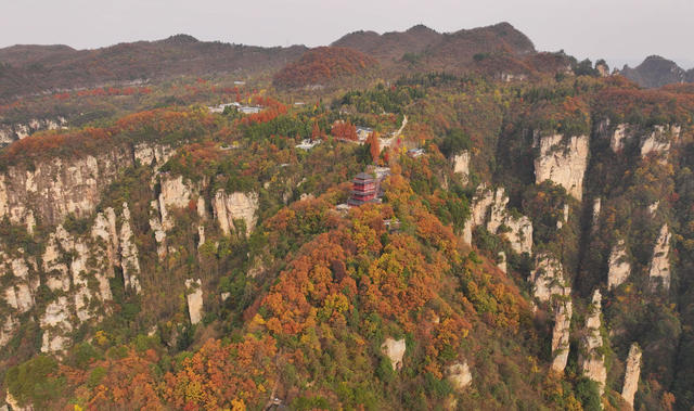 张家界 天子山 冬色 