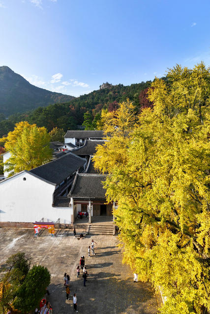 南岳 衡山 银杏 风景 
