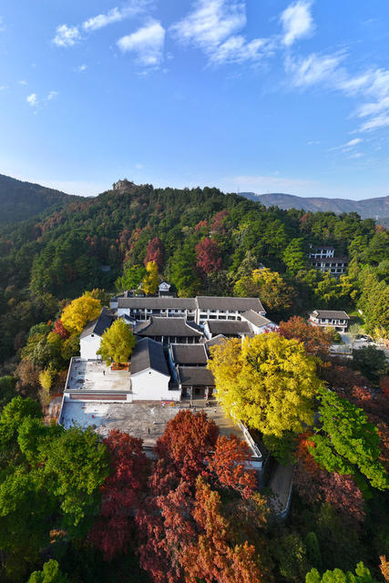 南岳 衡山 银杏 风景 