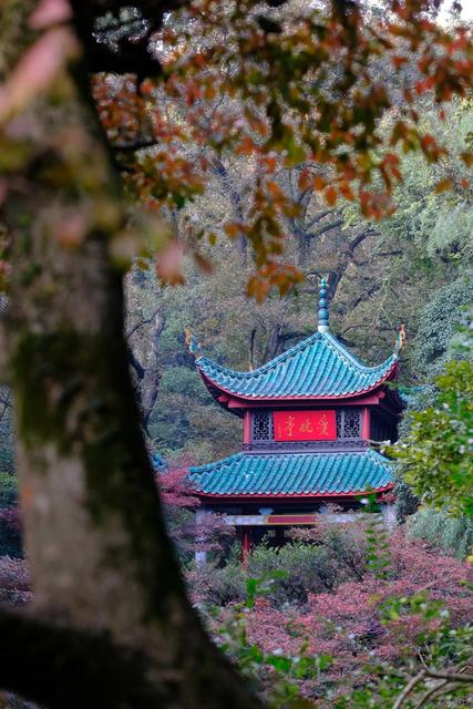 爱晚亭，岳麓山，