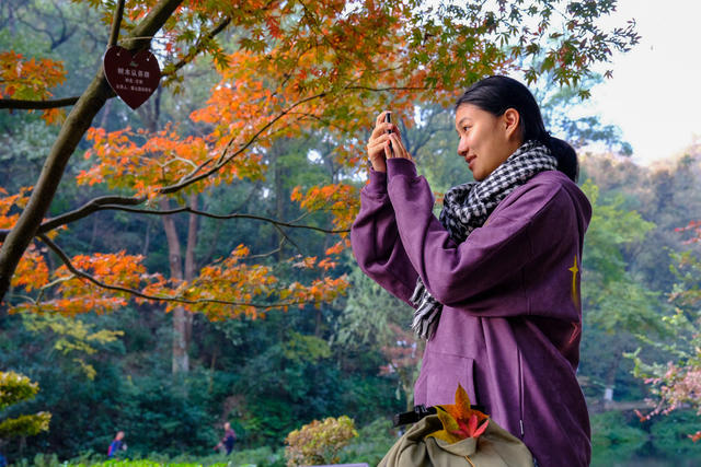 爱晚亭，游人如织，枫景