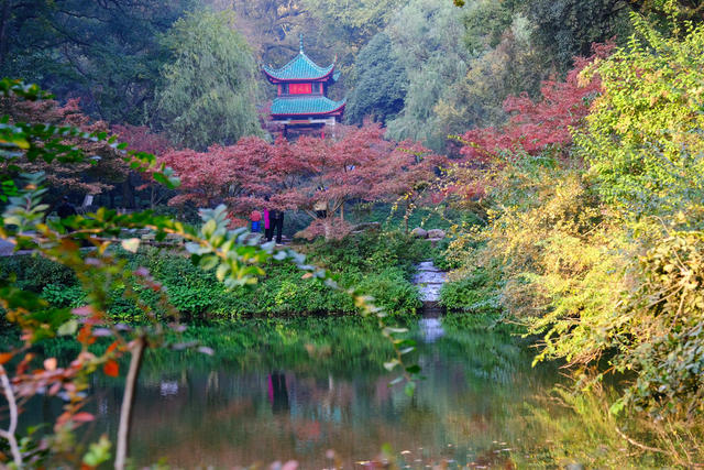 爱晚亭，游人如织，枫景