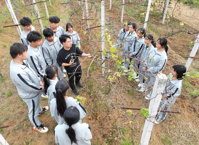 劳动教育 技能 学生 成长 道县
