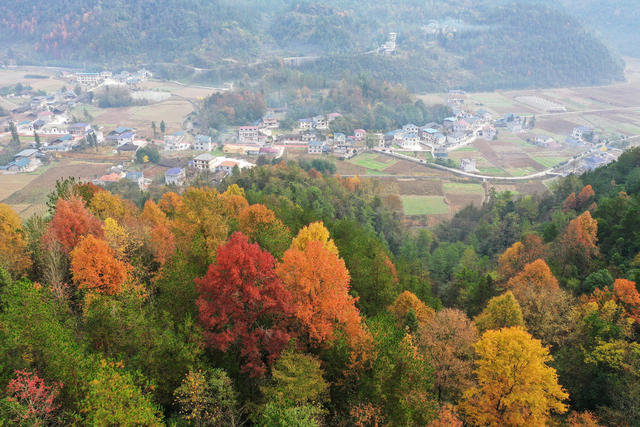 湘西，龙山，初冬，乡村，景色，迷人