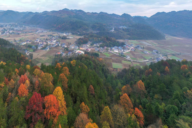 湘西，龙山，初冬，乡村，景色，迷人