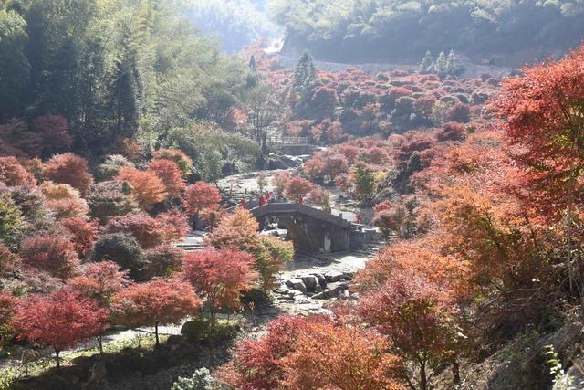 乡村 旅游  增收 游玩  蓝山  美景