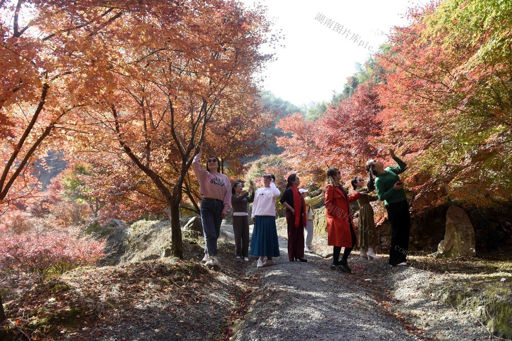 11月23日,蓝山县湘江源瑶族乡坪源村蓝山谷景区,游客在休闲游玩