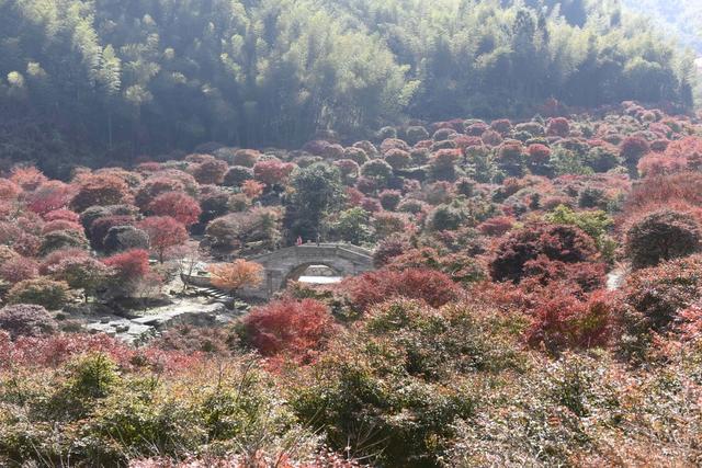 乡村 旅游  增收 游玩  蓝山  美景