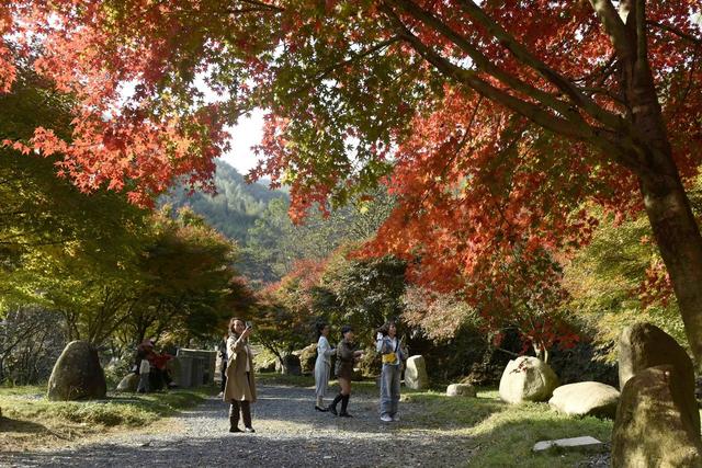 乡村 旅游  增收 游玩  蓝山  美景