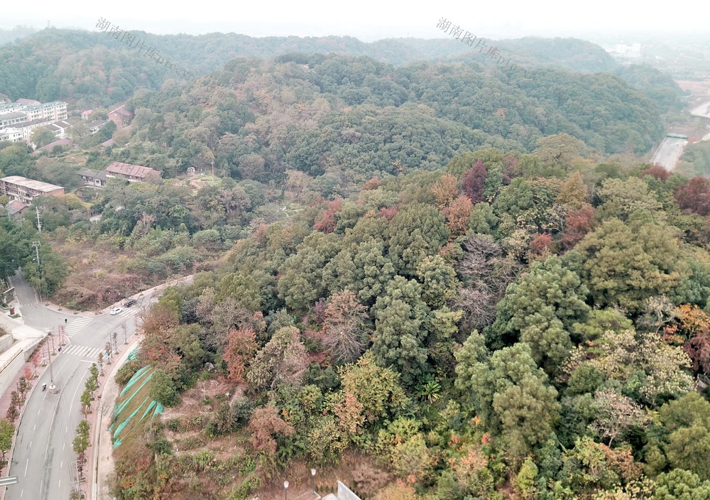 会龙山囗街道口面貌