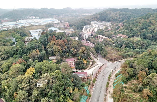 会龙山囗街道口面貌