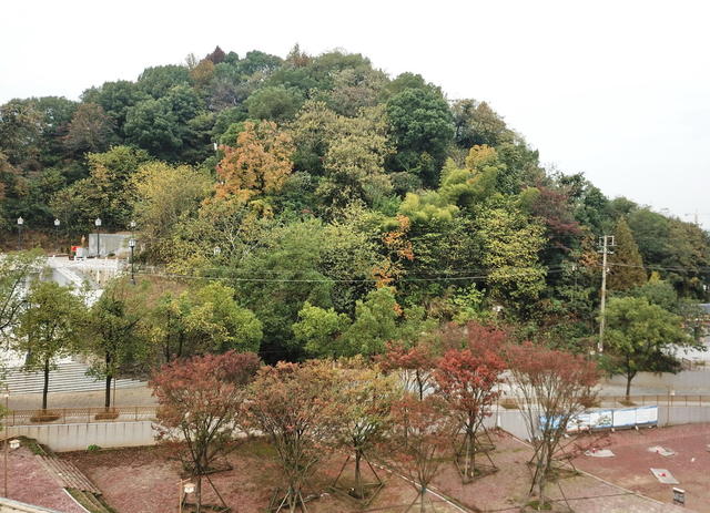 会龙山囗街道口面貌