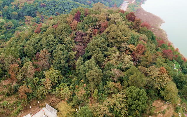 会龙山囗街道口面貌