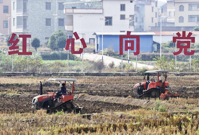 嘉禾：初冬时节农耕忙