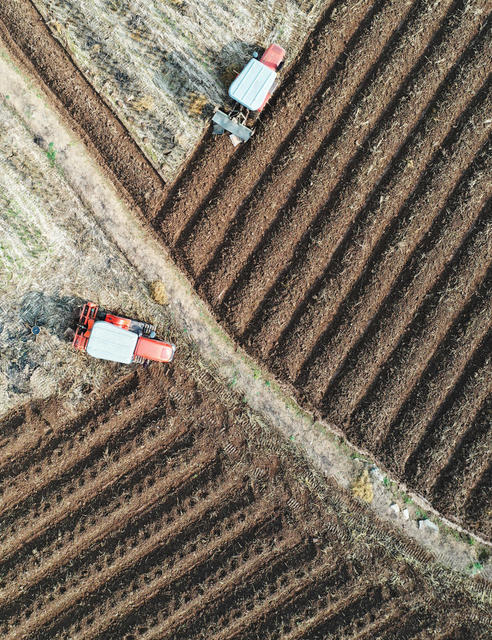 嘉禾：初冬时节农耕忙