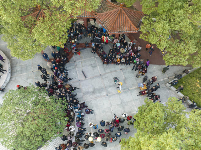 娄底,城市公园,,夕阳红,倾情演唱,戏曲