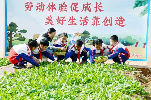 校园乡土  劳动教育课