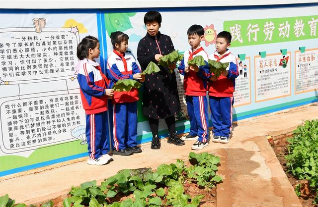 校园乡土  劳动教育课