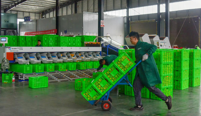 线上线下  销售忙