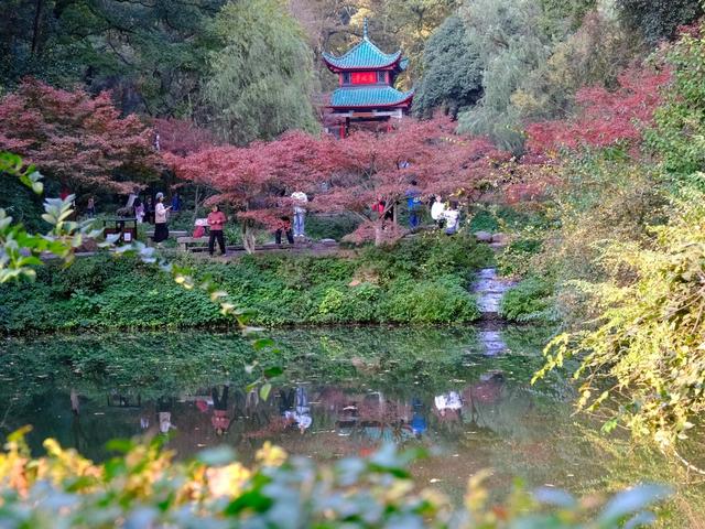 岳麓山，爱晚亭，“枫”景如画，