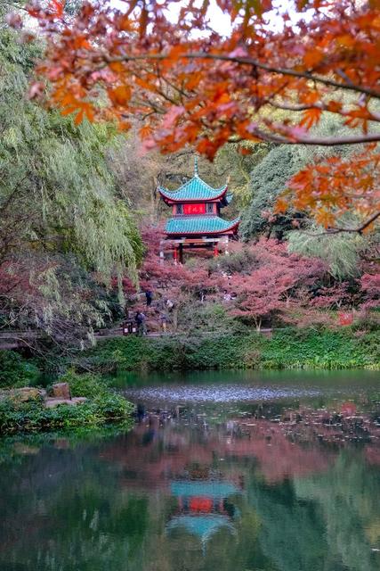 岳麓山，爱晚亭，“枫”景如画，