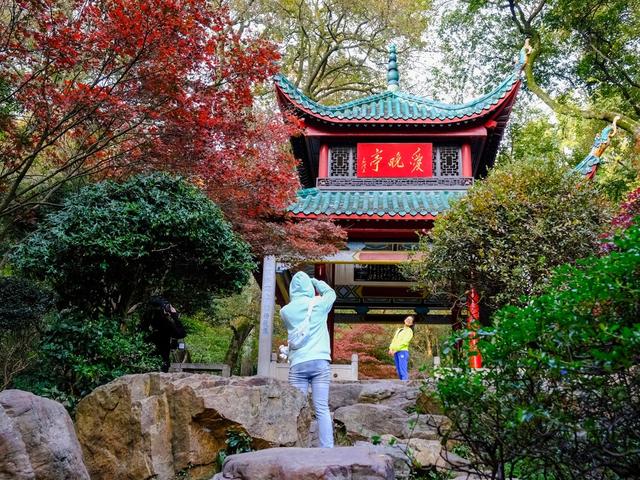 岳麓山，爱晚亭，“枫”景如画，