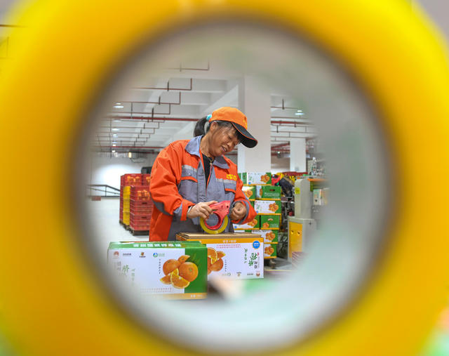 脐橙 产业 农业 道县