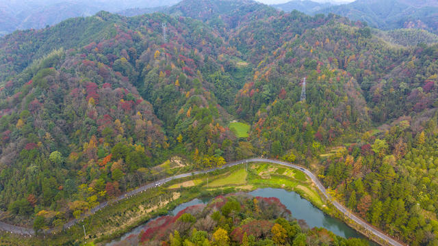 冬景、乡村景色、环境、生态、树林