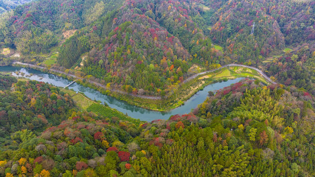 冬景、乡村景色、环境、生态、树林