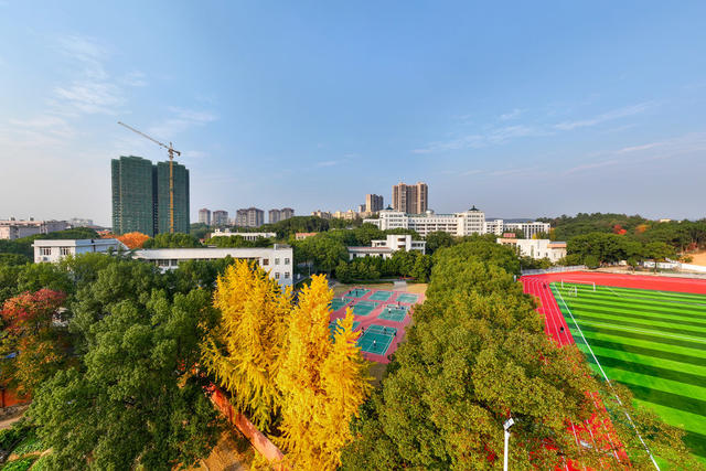 风景
银杏
枫叶
冬景
校园