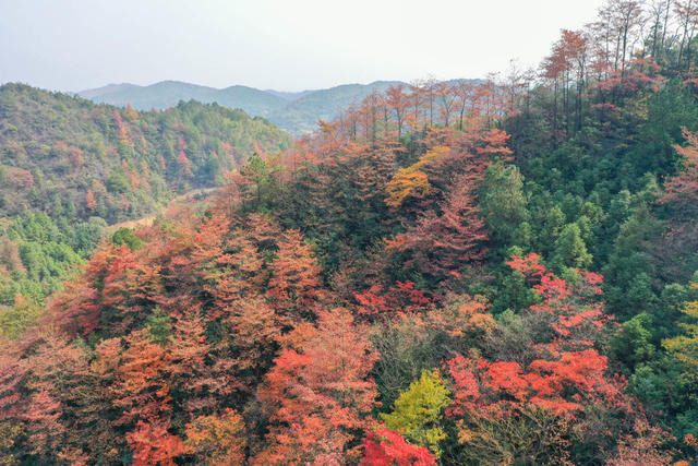 红叶 衡阳