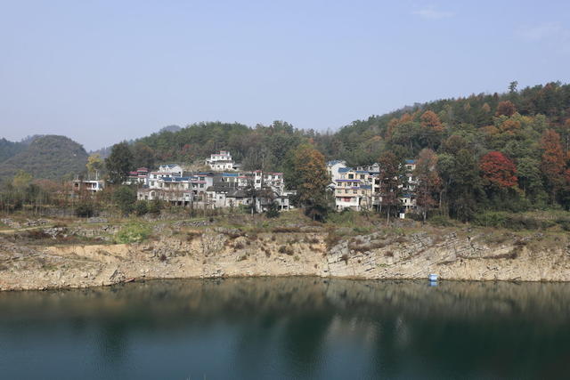 长潭岗 水杉红了  游客 