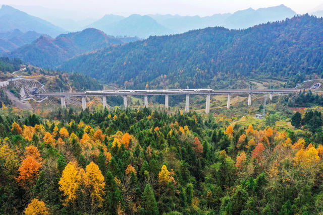 湖南，湘西，初冬，列车，行驶，色彩斑斓，画卷，桥梁