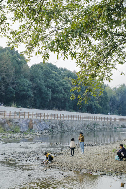 湖南 新田 湿地 景美 乐享周末