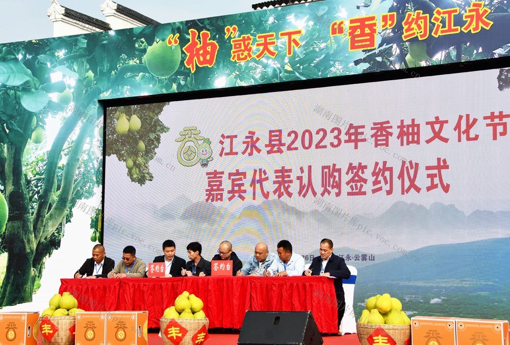 香柚丰收销售旺