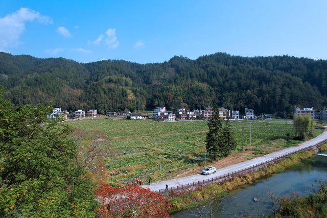 湖南桂东 初冬 双抢 村民 香芋 地瓜