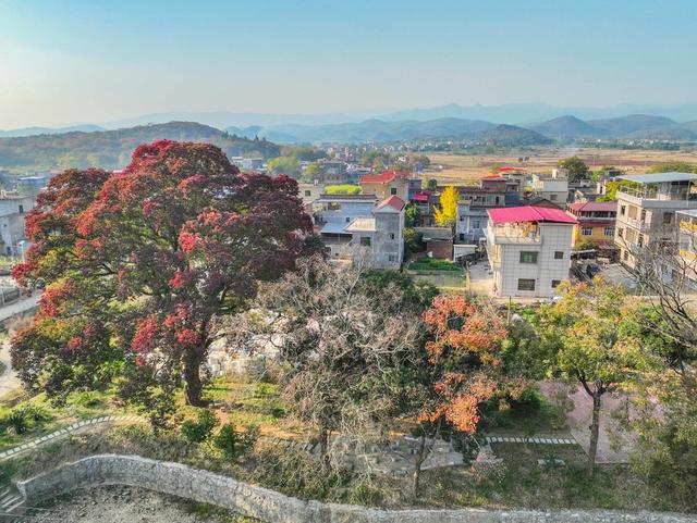 美丽乡村 生态  乡村振兴  人居环境 道县